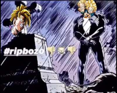 #ripbozhan