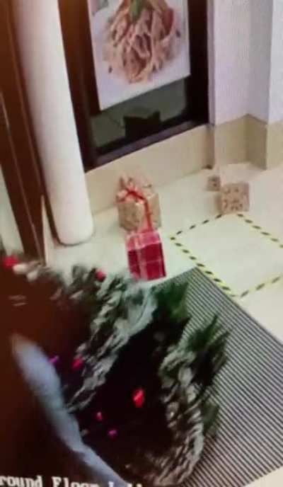 Our works Christmas tree got nicked!