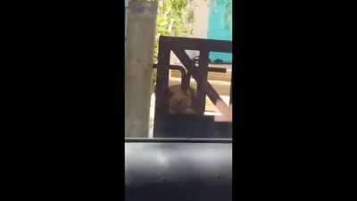 There's... Something on the wing!