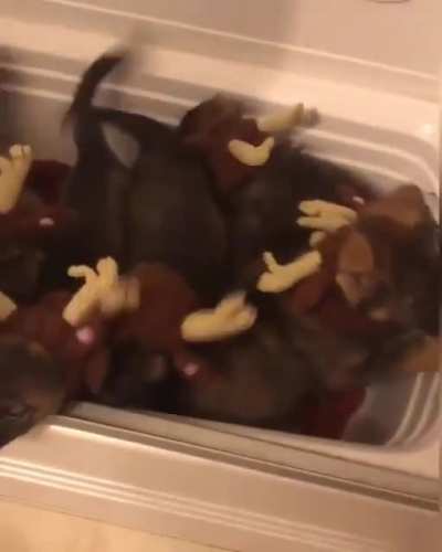 Maybe Maybe Maybe