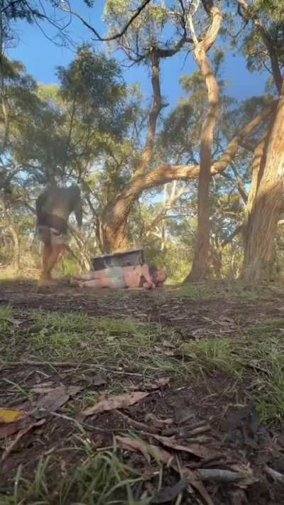 Bonk