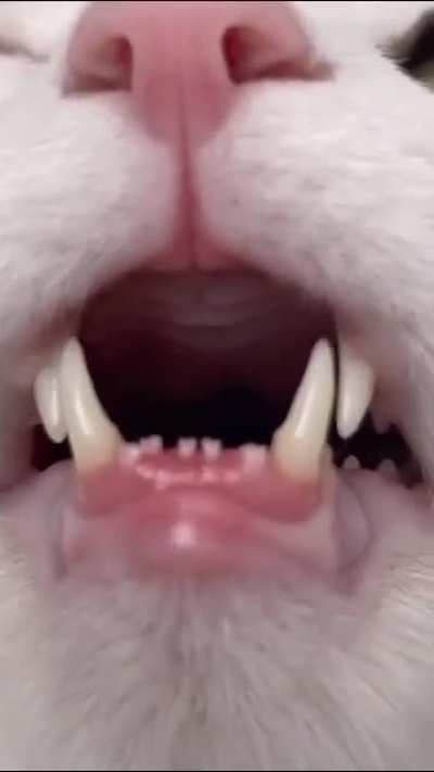 I feel like this belongs here