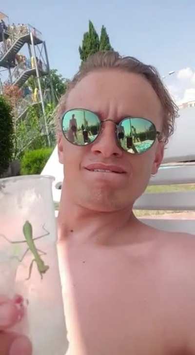 Vibing with Mantis