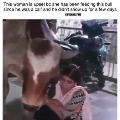 Big boye gets scolded but loves her anyway