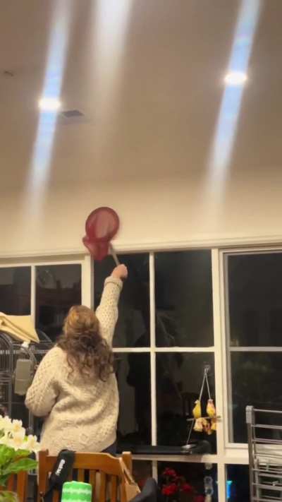 She got it this time...