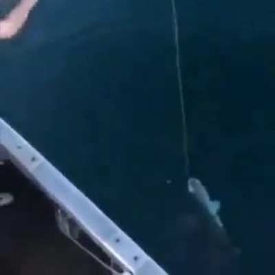Tactical Fishing