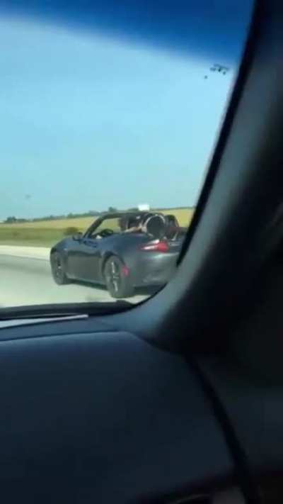 &ldquo;Idiots With Dogs&rdquo;