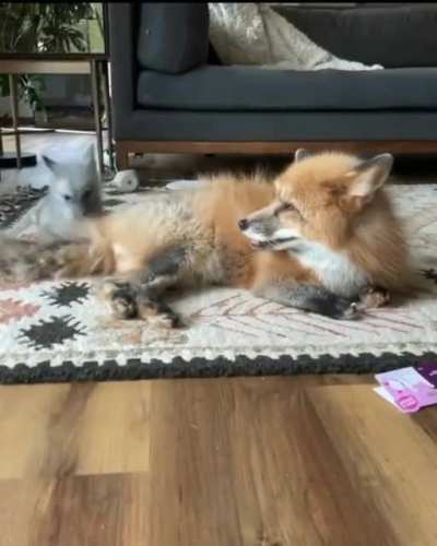 Play time