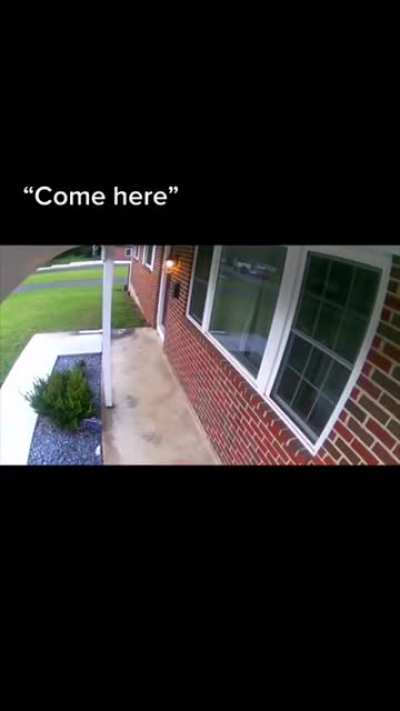 "Come here"