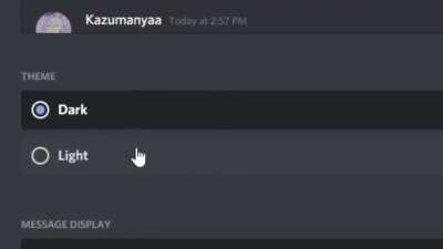 me when discord light theme