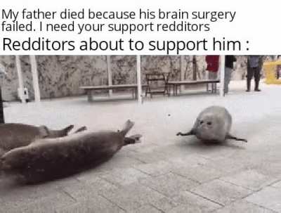 It do be wholesome