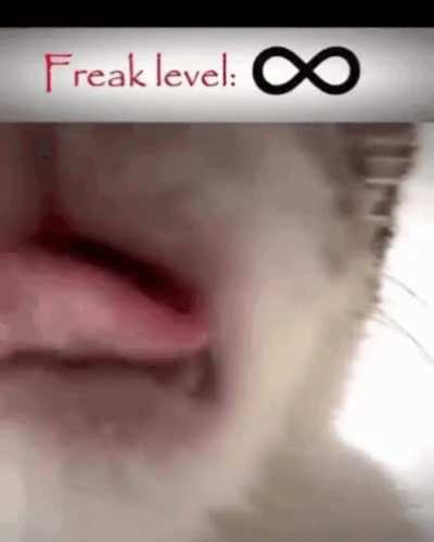 Freaky