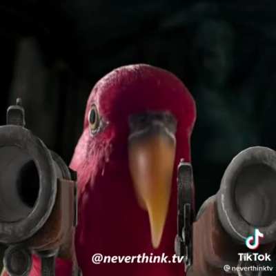 that's got to be the best pirate i've ever seen