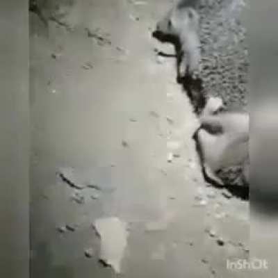 Клубничка нужна?