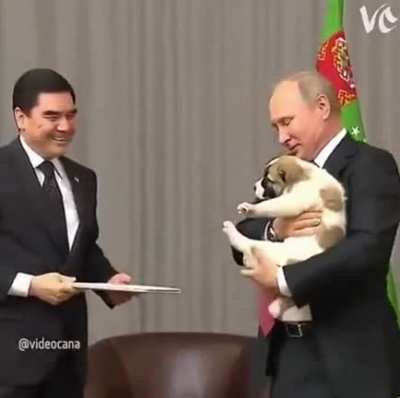 Look up the president of Turkmenistan, the dudes f**king insane