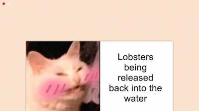 Lobsters Getting Released