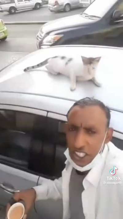 orospu cocuklarindan yatan hayvan bile rahatsiz amk
