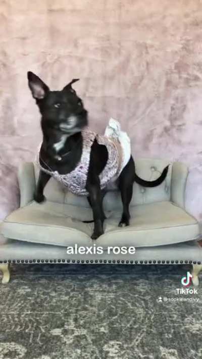 Schitt&rsquo;s Creek picture day