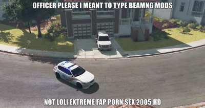 please i wanted beamng fashion