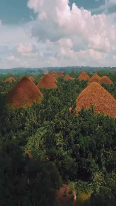 Chocolate Hills In Philippines