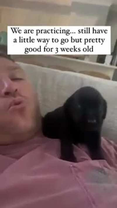 The smallest awooo