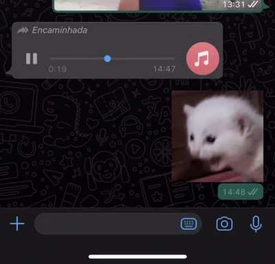 mano quebrei com esse v&iacute;deo