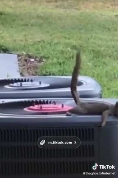 Tactical Poop Deployed