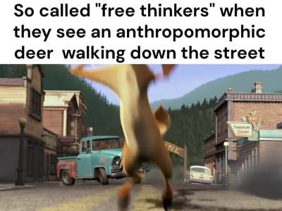 🦌🚗
