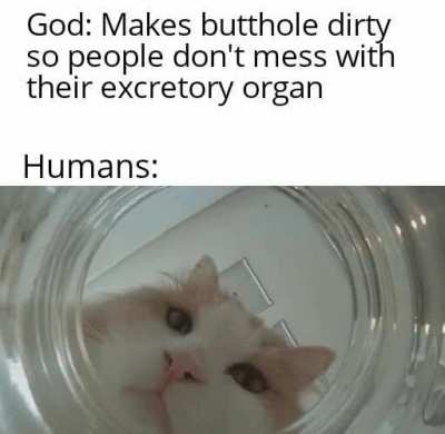 You got it right