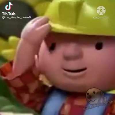 XDD BOB