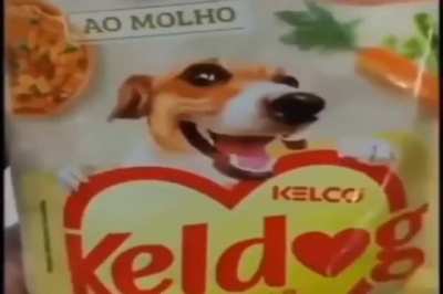 the dog