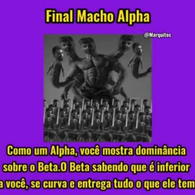 Finais do assalto
