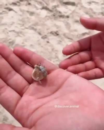 Finding my mans a home