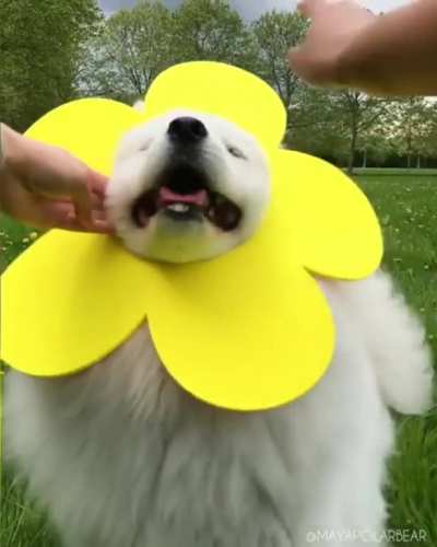 Have a nice day!