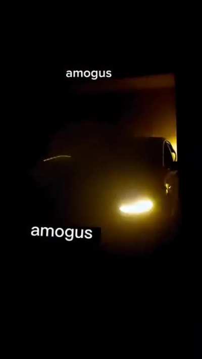 Tesla model sus