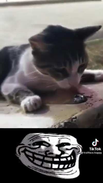 thank u hooman