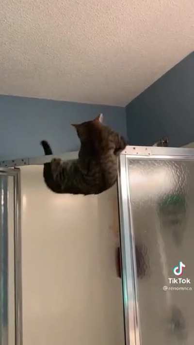 Mistakes were made