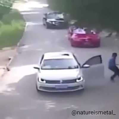 Changing the driver during a visit in a safari park with wild animals