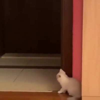 Are you playing or not?