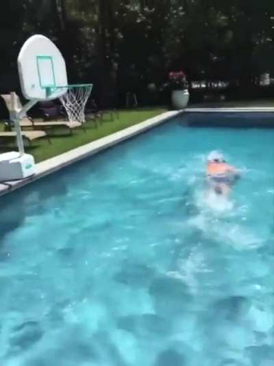 Must save hooman!