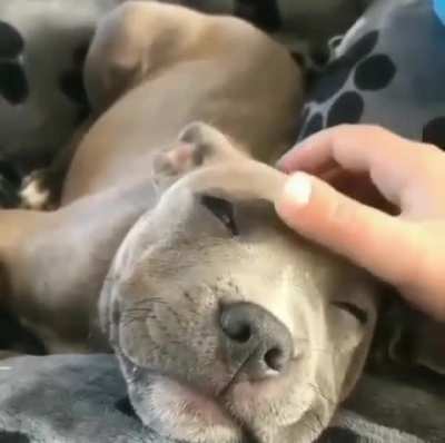 He was very pleased