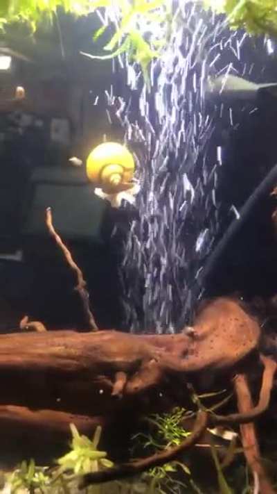 I heard you might appreciate bubble surfing