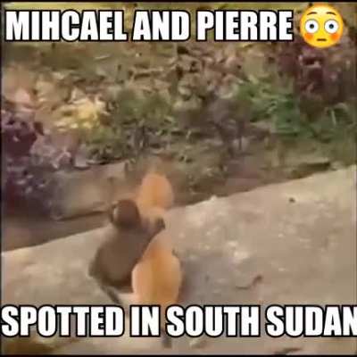 Hole som Pierre and Micheal together 😳💯