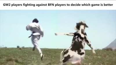 GW2 vs BFN be like