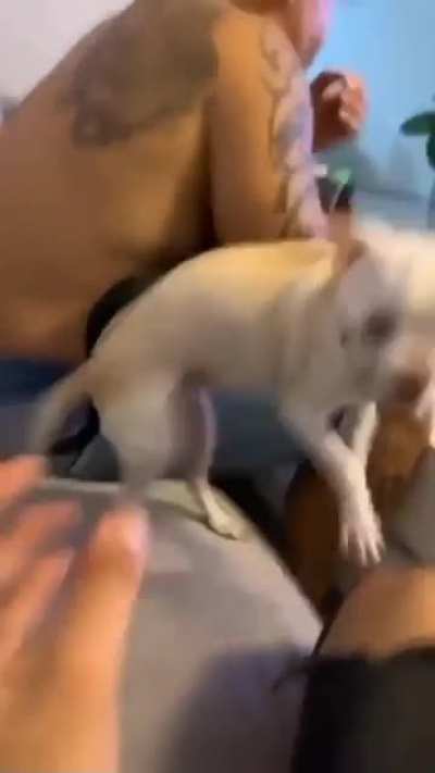 Butt squeeze scream.
