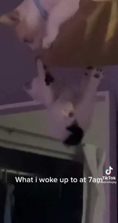 Hang in there
