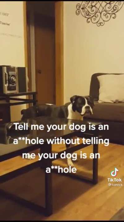 We all know pets are adorable, but than there is another side&hellip;