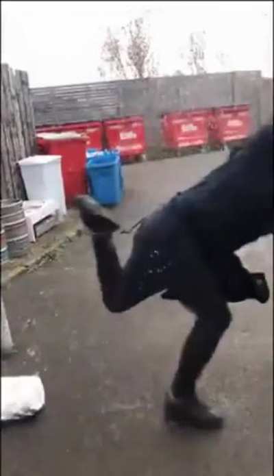 He got mad hops