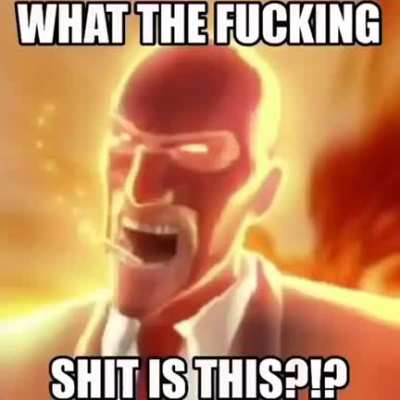 Scout no
