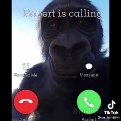 Roberto